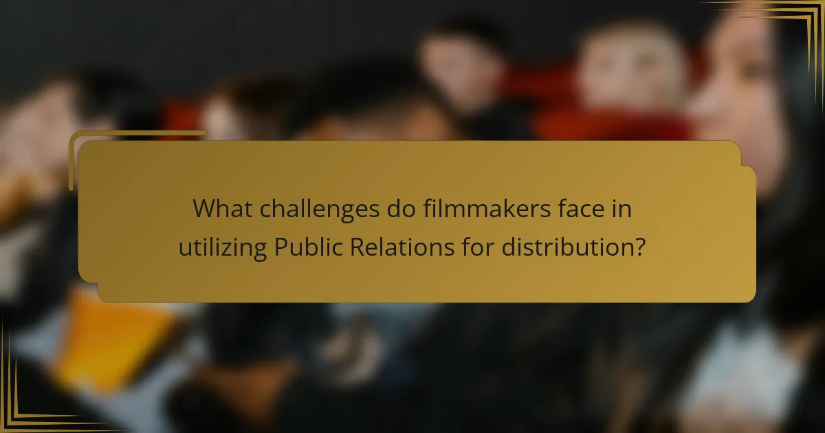 What challenges do filmmakers face in utilizing Public Relations for distribution?